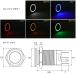 �v�b�V���X�C�b�` 18mm ���[�����^���� LED�����O�t�� 5�F �|�`�K�[ �E�`�K�[ �z���J�v���[�t DC12V �h�H �X�e�����X�� I-318 �֘A�摜4