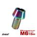 �`�^���{���g M6�~10mm P1.0 �L���b�v�{���g�Z�p���t �e�[�p�[�w�b�h ���C���{�[ ���F JA112
