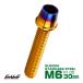  конус head болт CTC колпак болт M6×30mm нержавеющая сталь шестиугольник дыра Gold &. titanium цвет TB0729