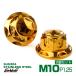 задние амортизаторы установка гайка M10 P1.25 шестиугольник колпачковая гайка фланец гайка задняя подвеска фиксация винт SUS304 нержавеющая сталь 2 шт. комплект Gold TF0161