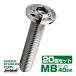 20�Z�b�g �{�^���{���g �X�^�[�z�[���w�b�h M8�~40mm P1.25 �t�����W�t �Z�p�� SUS304 �X�e�����X  �V���o�[ TR0427-20SET