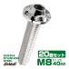20�Z�b�g SUS304 �X�e�����X�� �t�����W�t�� �{�^���{���g M8�~40mm P1.25 �Z�p��  �V���o�[ �X�m�[�w�b�h TR0466-20SET