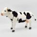  female cow No.4775