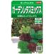  реальный . овощи lettuce сад lettuce Mix маленький пакет 003035