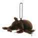 [COLORATA] Caro la-ta soft toy mascot rhinoceros beetle ( real insect / chain attaching ) lovely Kabuto key holder . doll gift 