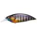  Megabass (Megabass) искусственная приманка BIG-M( большой M ) 4.0 GG wild giruBM