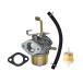 leihuo ey40 карбюратор применение EY40 RGX5500 двигатель 224-62336-00 224-62301-00