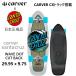  Япония стандартный товар SANTA CRUZ CARVER WAVE DOT CUT BACK солнечный ta* круиз CarVer скейтборд CX Carving грузовик 