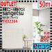 [ солнечный getsu outlet ] негодный номер ликвидация товар винил Cross TH32264 слоновая кость [50m]esekou[ не . антибактериальный защита от плесени ]22-25FAITH( лицо )