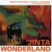 大工哲弘＆ちんどん通信社／ジンターランド　ＪＩＮＴＡ　ＷＯＮＤＥＲＬＡＮＤ