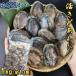 �����Y����� 1kg ��13�� 70-80g(1��) ���H�� ���h�g��X�e�[�L�ɁI �������� �{�B �Ɩ��p �k�t������� �G�]�A���r �ڈ�� �A���r � �Ⓚ ���h�g �Ɩ��p �֘A�摜1