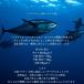 �V�R�唫���o�`�}�O���؂藎�Ƃ�500g �h�g�p �J�b�g�� �𓀂��邾�� �I�I�o�`�}�O�� �Ԑg �󂠂� ���g�� �ÂݔZ�� �C�N�� ���i ������ �Ⓚ �Ɩ��p �֘A�摜3