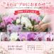 �Ӓ��� ���j�� 2�{��(12�`20��) 5400�~(�ŕ�)�� �Ӓ��� �J�X �J�@ �J�� �ړ] ������ ��̓��yko�z�yya�z �֘A�摜2