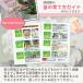 �Ӓ�����։ԉ薳���̕c 3,000�~(�ŕ�) ���(V3) �y�Ӓ��� �J�Ԋ� ���n�� �m�����̕c �Ӓ����͔| ��ĕ� �㋉�Ҍ����z�yko�z�yya�z�y2up�z �֘A�摜2