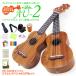 �E�N���� �A���A AU-2�i�h���t�B���^�z�k���j�\�v���m �X�y�V����12�_�Z�b�g ���������� Aria(�Â����F)(EbiSound�I���W�i��)(�G���h�s���t)(u)