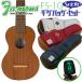 Famous �t�F�C�}�X FS-1G �M�O�o�b�O �`���[�i�[ �Z�b�g ���Y�\�v���m�E�N���� (���S�̓��{��)(�؂₩�ȉ��F)(u)