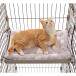 PAWZ Road кошка bed домашнее животное bed собака bed коврик клетка для двусторонний использование смещение предотвращение скольжение .. предотвращение 4 . шнур имеется крепкий крепкий через годовой процент для 2w