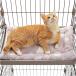 PAWZ Road кошка bed домашнее животное bed коврик клетка для подушка симпатичный популярный модный двусторонний использование смещение предотвращение скольжение .. предотвращение 4 . шнур имеется 