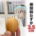 ���� RAKU �y�b�g�Q�[�g �x�r�[�Q�[�g 3.5cm�Ԋu �˂�����^�C�v �ݒu��62.5cm�`166cm�I���� �I�[�g�N���[�Y�@�\ ���J�s�v ����76cm �_�u�����b�N�� �֘A�摜1