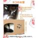 ���� RAKU �L�p�܂Ƃ� �L���b�g�n�E�X �_���{�[���n�E�X �܂Ƃ� �����x�i�{�[�� �X�g���X���� �ʋC ��w �g���ȒP �L���b�g�^���[ �܂Ƃ��x�b�h �L�� �֘A�摜1