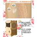 ���� RAKU �L�p�܂Ƃ� �L���b�g�n�E�X �_���{�[���n�E�X �܂Ƃ� �����x�i�{�[�� �X�g���X���� �ʋC ��w �g���ȒP �L���b�g�^���[ �܂Ƃ��x�b�h �L�� �֘A�摜3