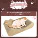 ���� �L�߂Ƃ� �܂Ƃ� �i�{�[�� RAKU �L�߂Ƃ��\�t�@�[ �L�x�b�h �����x �\�t�@�^ �L���f�U�C�� �D�ꂽ�ϋv�� �Ȑ��݌v �p�ۉ��H ���{���������t �֘A�摜4