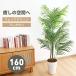 RAKU fake green viewing plant artificial foliage . decorative plant artificial flower office interior interior large pot areka cocos nucifera are copper m height 160cm human work 