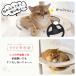 ���� RAKU �L���b�g�^���[ �˂��^���[ ���C�ގd�l�o�� �ؐ�/�z�� �q�L�E�Z���L�E�V�j�A�L�E�������L�ɓ��ʐ݌v �܂Ƃ� �x�� �K�i�݌v ������������ �֘A�摜5