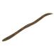 ����å��� �ե�å��������������ȥޥ��å� 3.8����� 10������ 2�ȡ��� ���ꥬ��