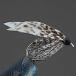 �o���[�q�� COMPLETE FLY �m�E�F�b�g�t���C�n W1 �V���o�[�}�[�`�u���E�� #10