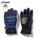  Phoenix juni ASCII перчатка Phenix APD 5Finger Boy's Glove ESB22GL10 NAVY 2022-23 ребенок лыжи сноуборд перчатки Phenix