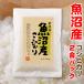 米 魚沼産 コシヒカリ 2合パック（300g）プチギフト