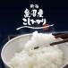 �y�V�� �ߘa8�N�Y�z �����Y�R�V�q�J�� 5kg 10kg 15kg 20kg �V���� �V�����Y ���� ���� �����Ђ��� �������� �M�t�g�Ή� �֘A�摜2