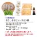 �l�C�u���낵���΂ƃ\�[�X�J�c���v�Ⓚ �z�O���� ���� ������ ���� ���Ε� �H�i �����n ���� ���ˏ� �O���� ���� �֘A�摜1