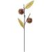 �|�s�[(Popy) ���� �N�� �u���E�� FS -9327BR (FS-9327BR)