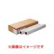 CANON �L���m�� �X�^���_�[�h���ʎ�2 LFM-PPS2/A2/64