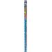 PIAA �ԥ� (�ꥢ) �ե��åƥ��󥰥ޥ�����(1D) WGD305 305MM