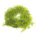 ��n�_�� �T���E�B�[�o�C�� ���C���O���[�� 76-3320-721 (1240345)