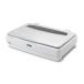 EPSON Epson A3 планшетный сканер -( фото * графика /A4 одна сторона 12 секунд / листов / плёнка скан опция )(DS-G30000)