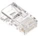 ELECOM ���쥳�� RJ45���ͥ���(���������/���ꥢ/10��)(LD-RJ45TY10)