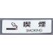 (Hikari) ES721-2 ץ졼 ʱ SMOKING(1P5)