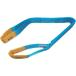 �e�U�b�N TESAC �u���[�X�����O(JIS4�����E���[�A�C�`)�׏d1.6t�S��2.0m (4E35X2 4347)