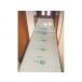 �t�N�r���w�H�� FUKUVI 4�܂�{���� �G�R�t���K�[�h�� EYGS184 (6790)