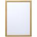 ���� V�@�|�X�^�[�z�@A2���@�i�`������ VPF-A2NL 1��