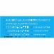 STAEDTLER �X�e�b�h���[ ������K(981 15-5)�u�P��:�}�C�v