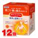 �ԉ� �߂���Y�� ���C�̉��M�V�[�g ���ɒ��ړ\��^�C�v 16���@�~12��
