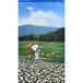 PEANUT SNOOPY �X�k�[�s�[ �K�i ���� �ډB�� �Ԏd�؂� �̂�� ���� ���� �^�y�X�g���[ �J�[�e�� �J�t�F�J�[�e�� Eclea ���� ���� (�X�k�[�s�[�Ǝl�G�̂��) �֘A�摜1
