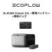 EcoFlow GLACIER Classic портативный холодильник 35L +GLACIER специальный аккумулятор + специальный сумка 3 позиций комплект 