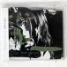DIR EN GREY/CLEVER SLEAZOID/FWD SFCD39 CD 