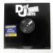  рис US запись LUDACRIS/SPLASH WATERFALLS (WHATEVER YOU WANT REMIX) / SCREWED UP/DEF JAM SOUTH B000223011 12